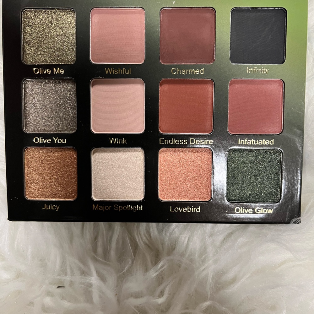 Violent Voss 12 pan palette *never been used*